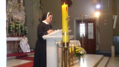 Palma1