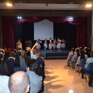 Proslava u albaniji (14)