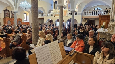 Kastav dan druzbe (2)