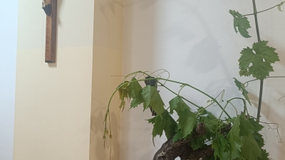 Img 20250525 170236