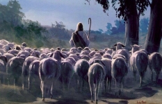 On ovce svoje zove imenom!