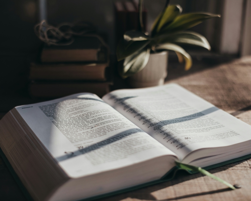 Najava: Susret za djevojke